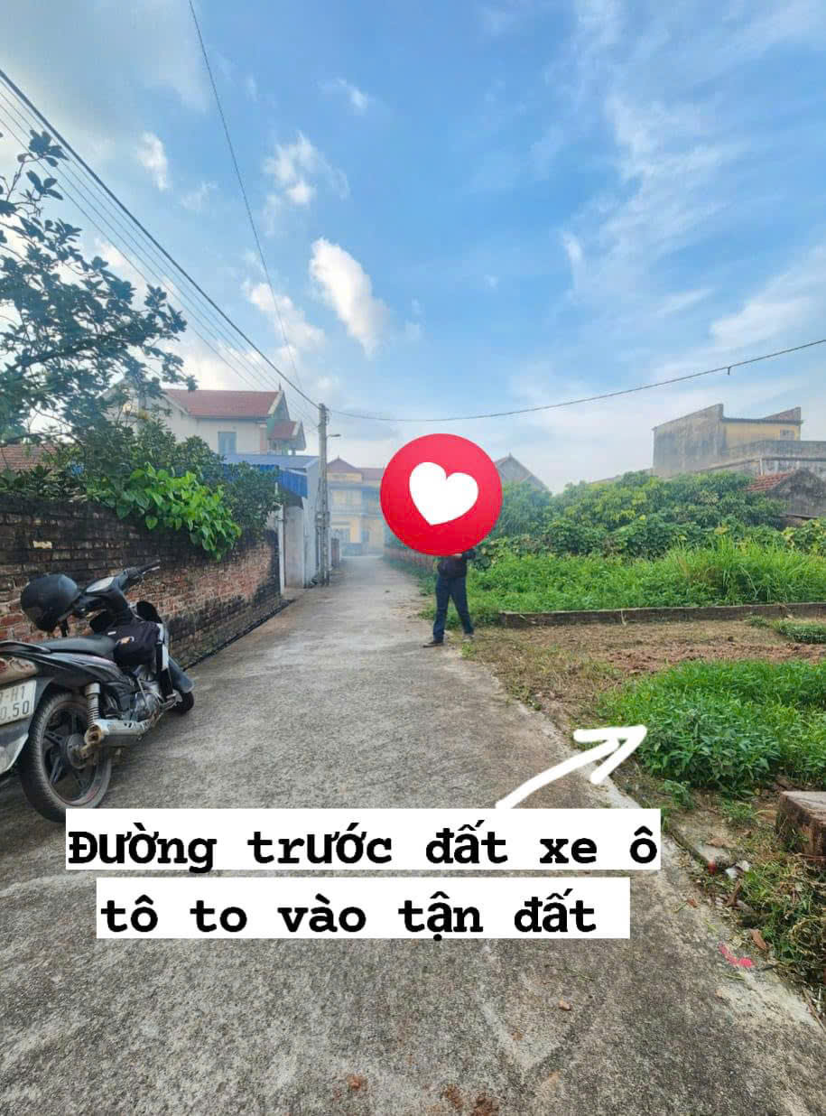 Bán đất Tấn Dân Khoái Châu diện tích 100m mặt tiền hơn 5m đường oto thông giá đầu tư - Ảnh chính